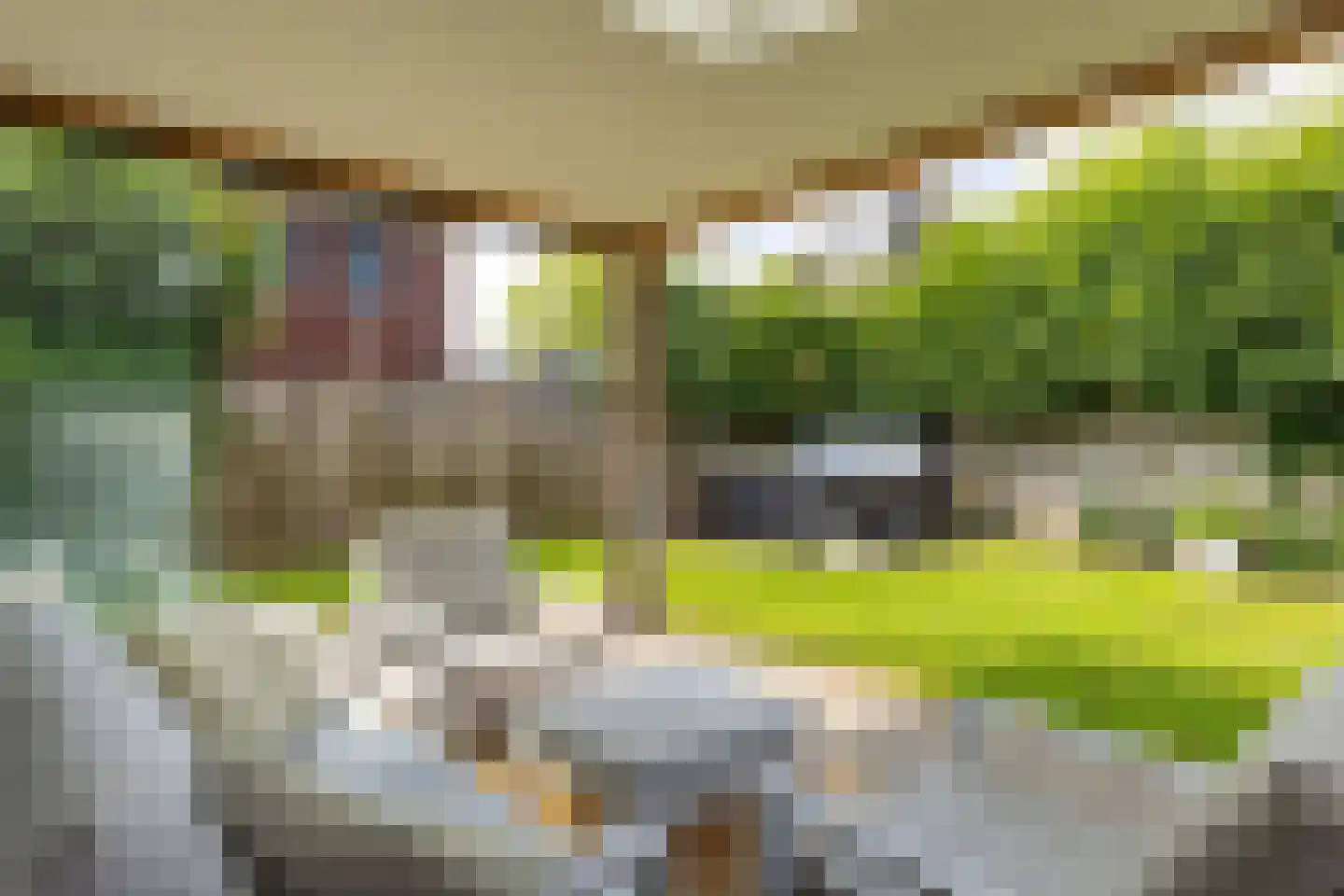 Distelvlinder 7 Holten thumbnail 31