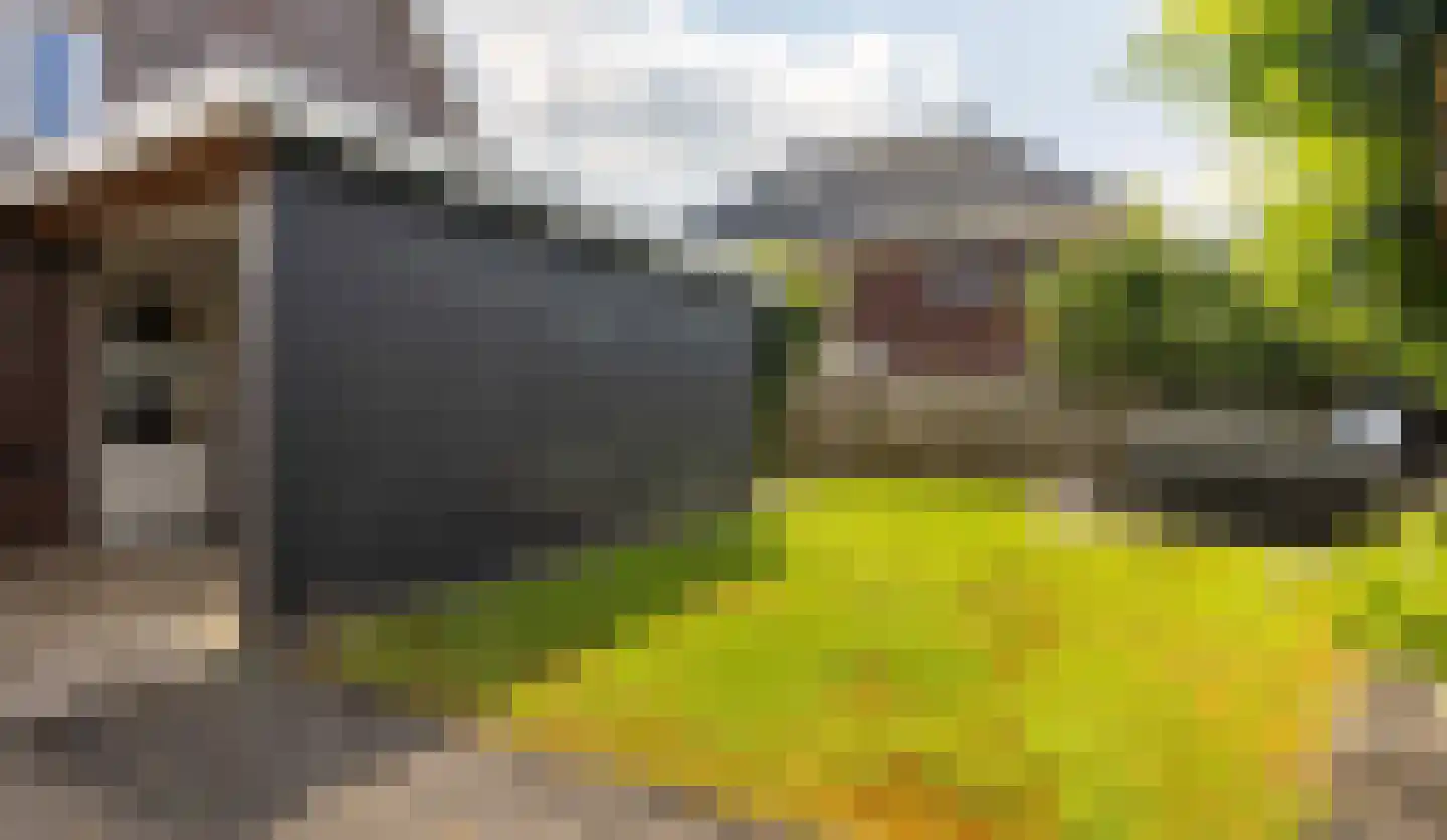 Distelvlinder 7 Holten thumbnail 33