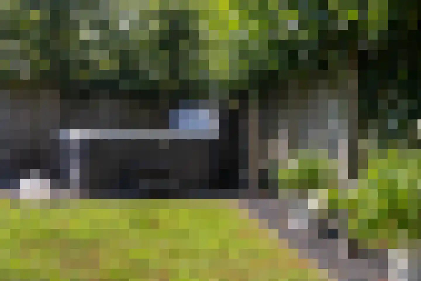 Distelvlinder 7 Holten thumbnail 35