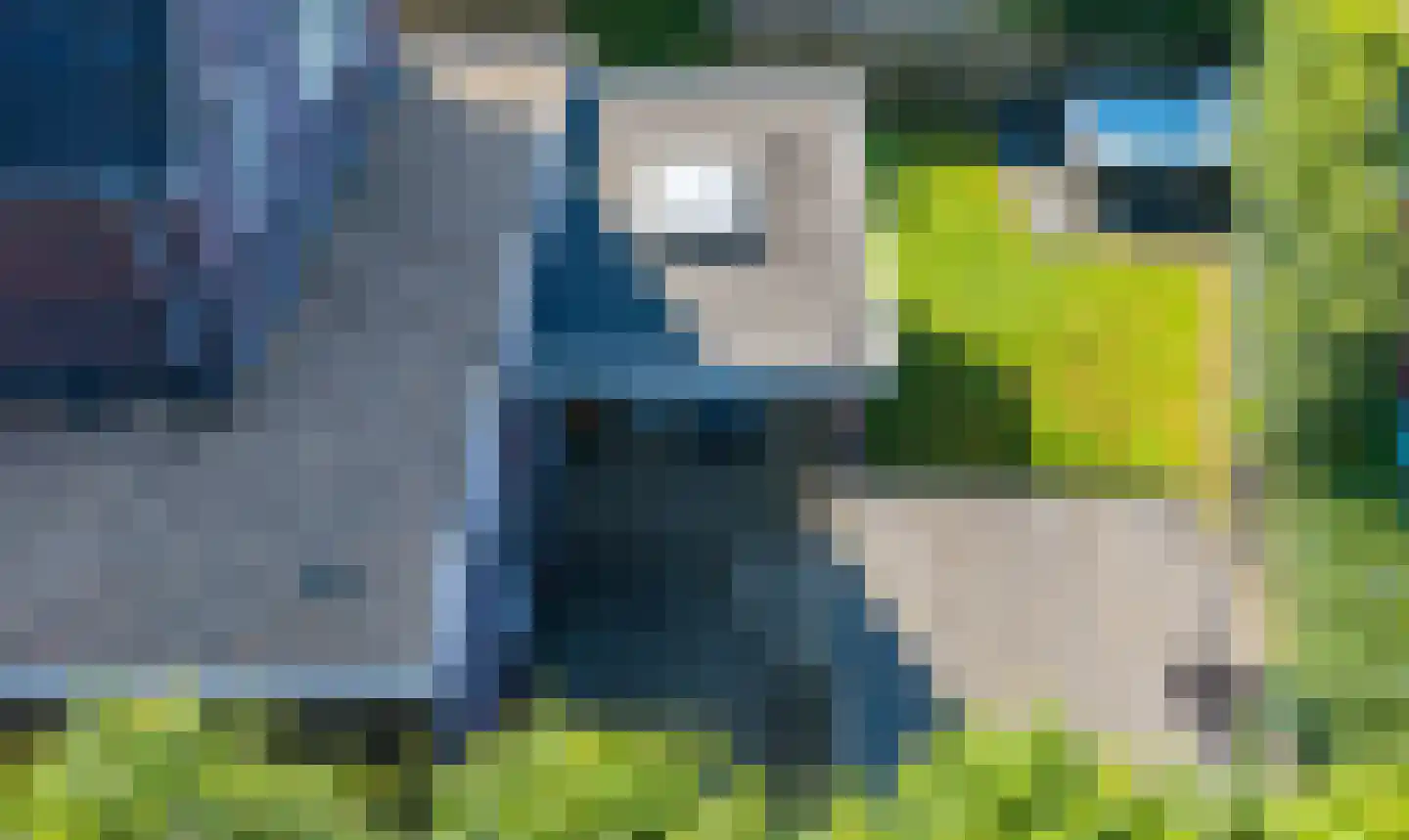 Distelvlinder 7 Holten thumbnail 38