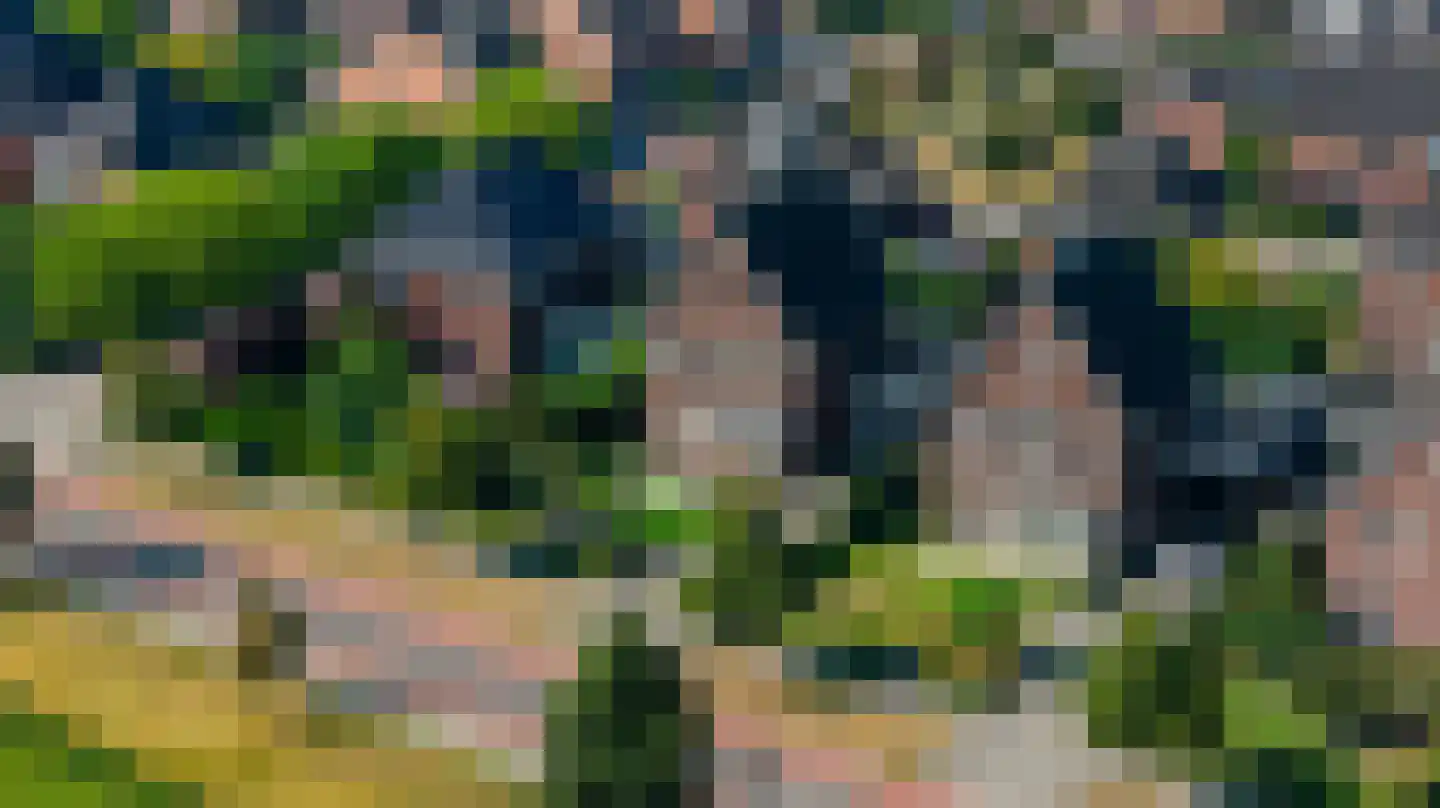 Distelvlinder 7 Holten thumbnail 40
