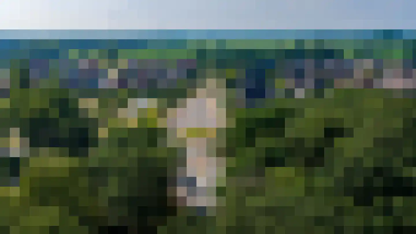 Distelvlinder 7 Holten thumbnail 43