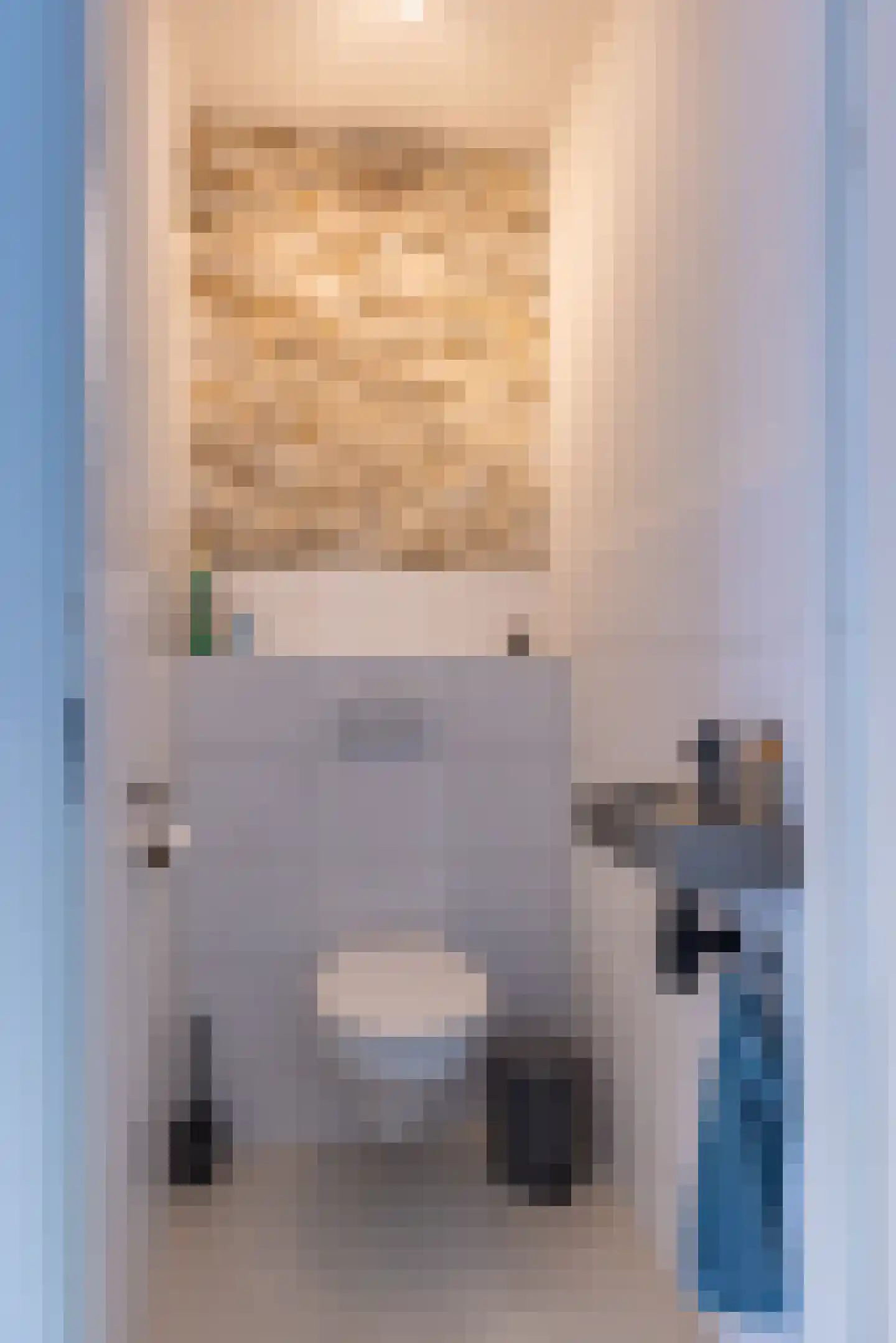 Distelvlinder 7 Holten thumbnail 5
