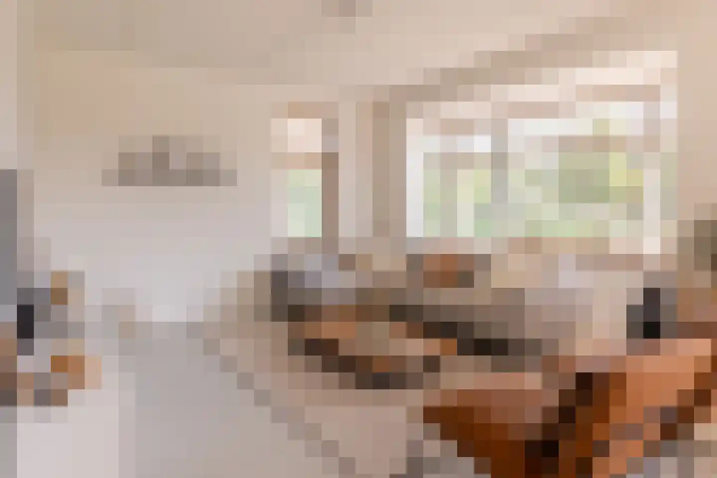 Distelvlinder 7 Holten thumbnail 8