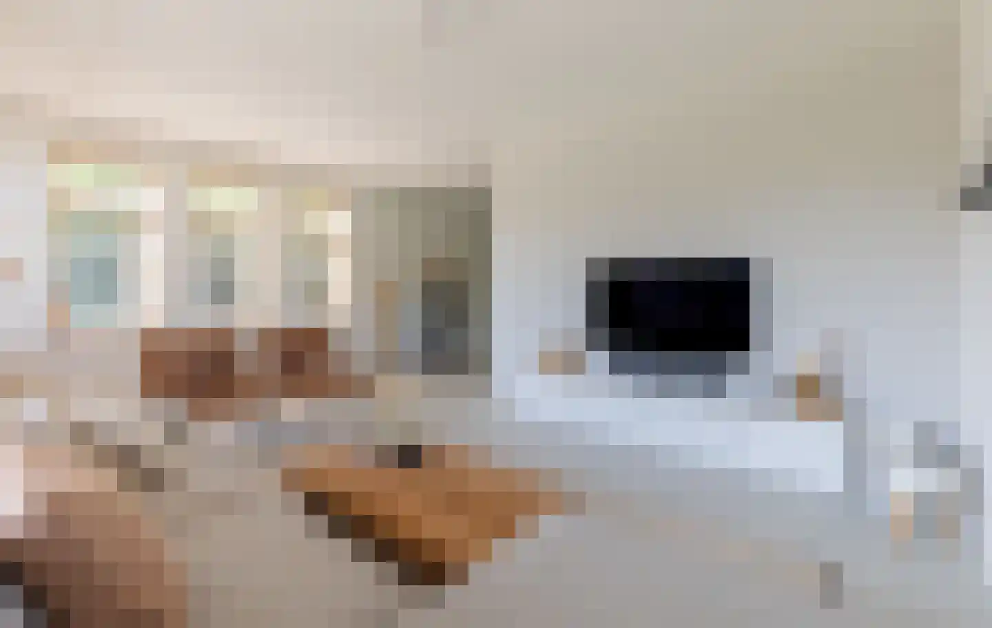 Distelvlinder 7 Holten thumbnail 9