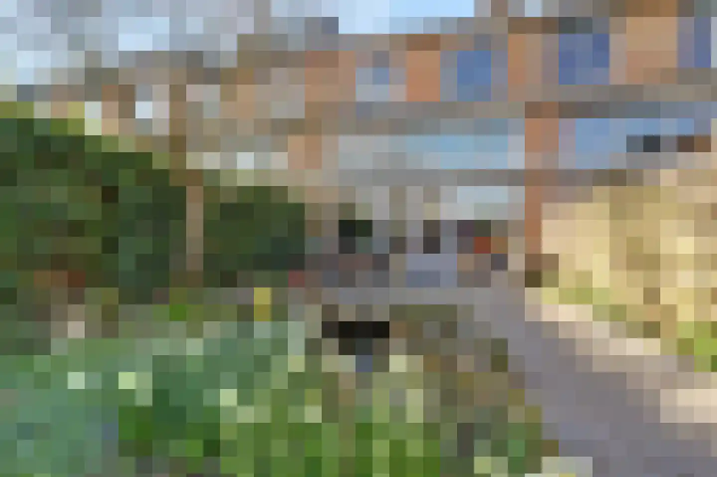 Distelvlinderberm 114 Houten thumbnail 10