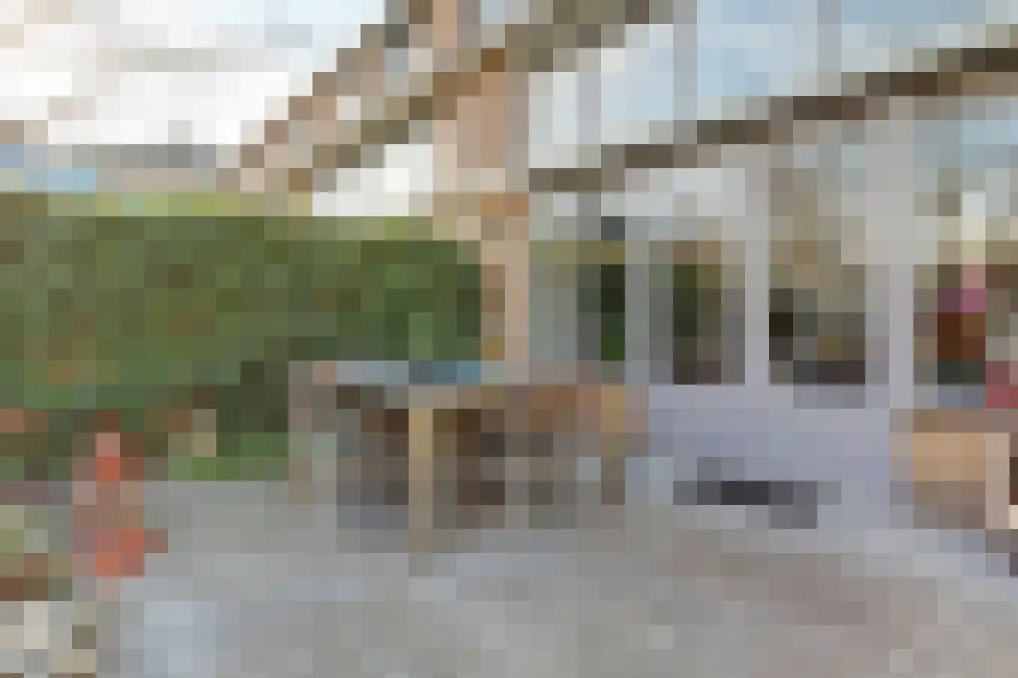 Distelvlinderberm 114 Houten thumbnail 11