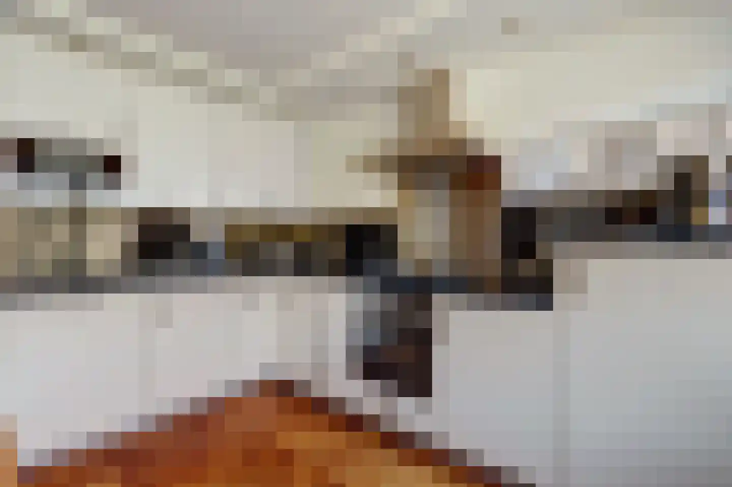 Distelvlinderberm 114 Houten thumbnail 18