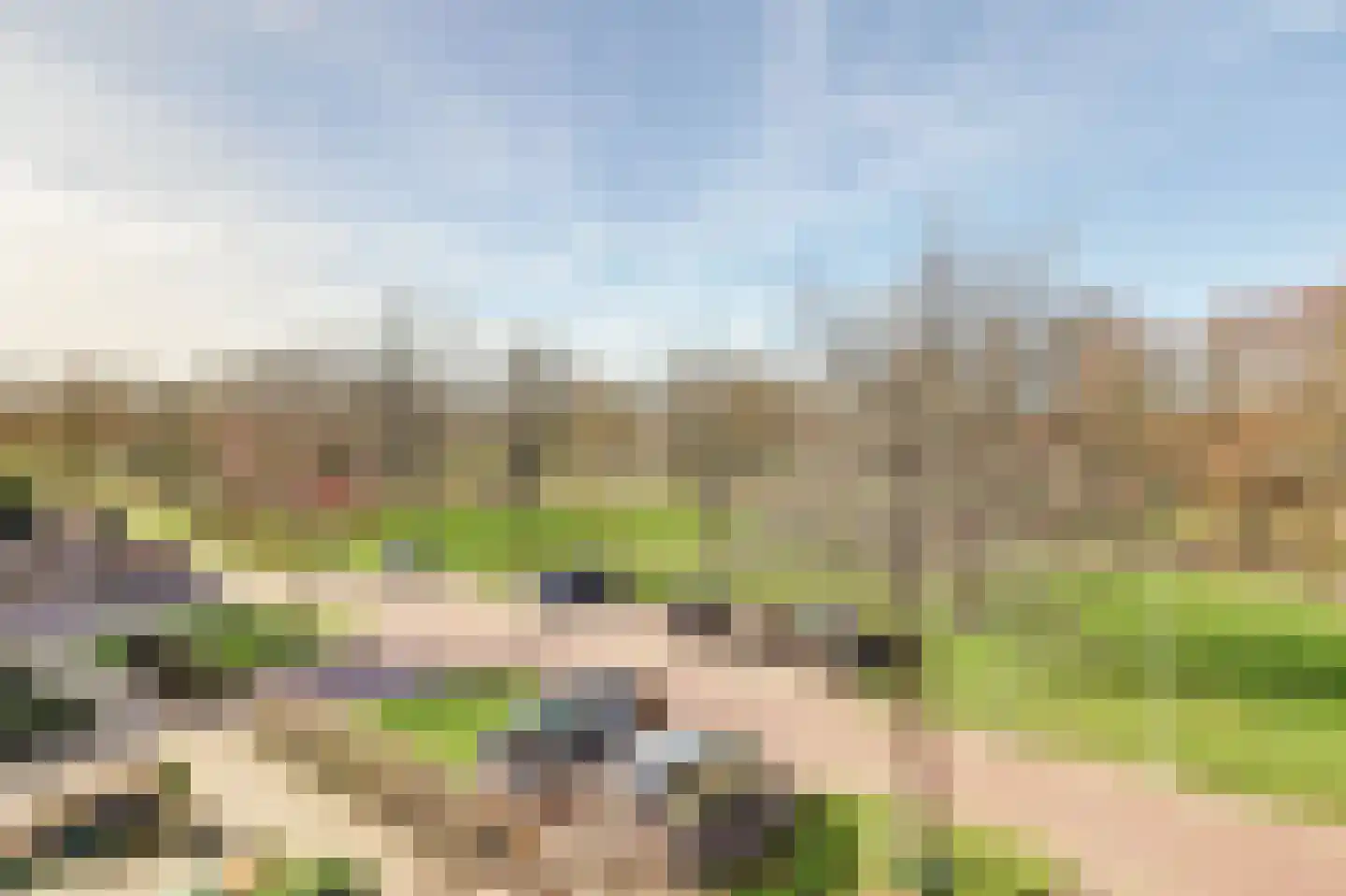 Distelvlinderberm 114 Houten thumbnail 26