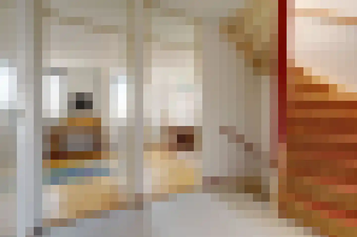 Distelvlinderberm 114 Houten thumbnail 27