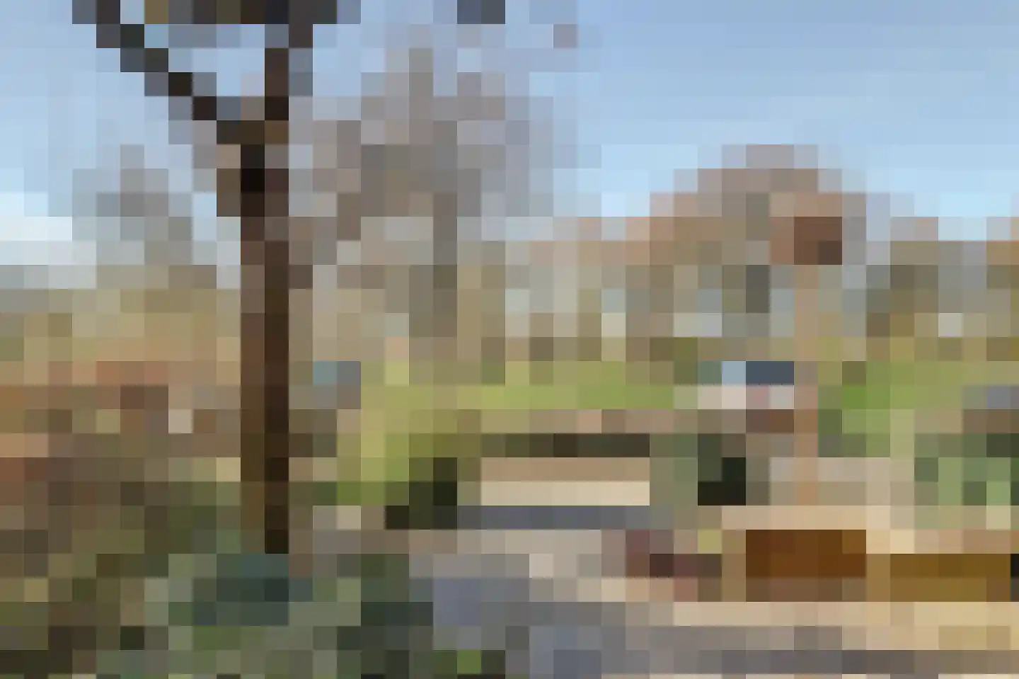 Distelvlinderberm 114 Houten thumbnail 44