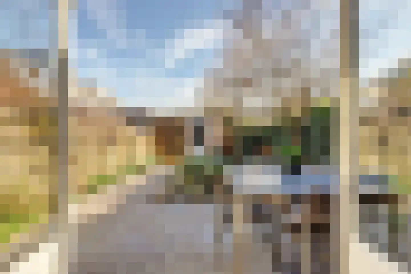 Distelvlinderberm 114 Houten thumbnail 5