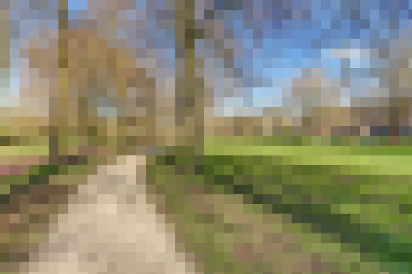 Distelvlinderberm 114 Houten thumbnail 51