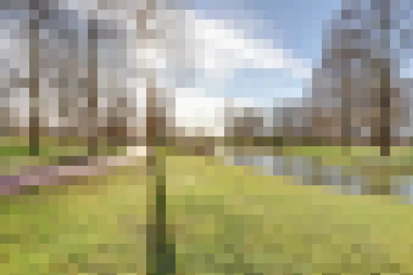 Distelvlinderberm 114 Houten thumbnail 52