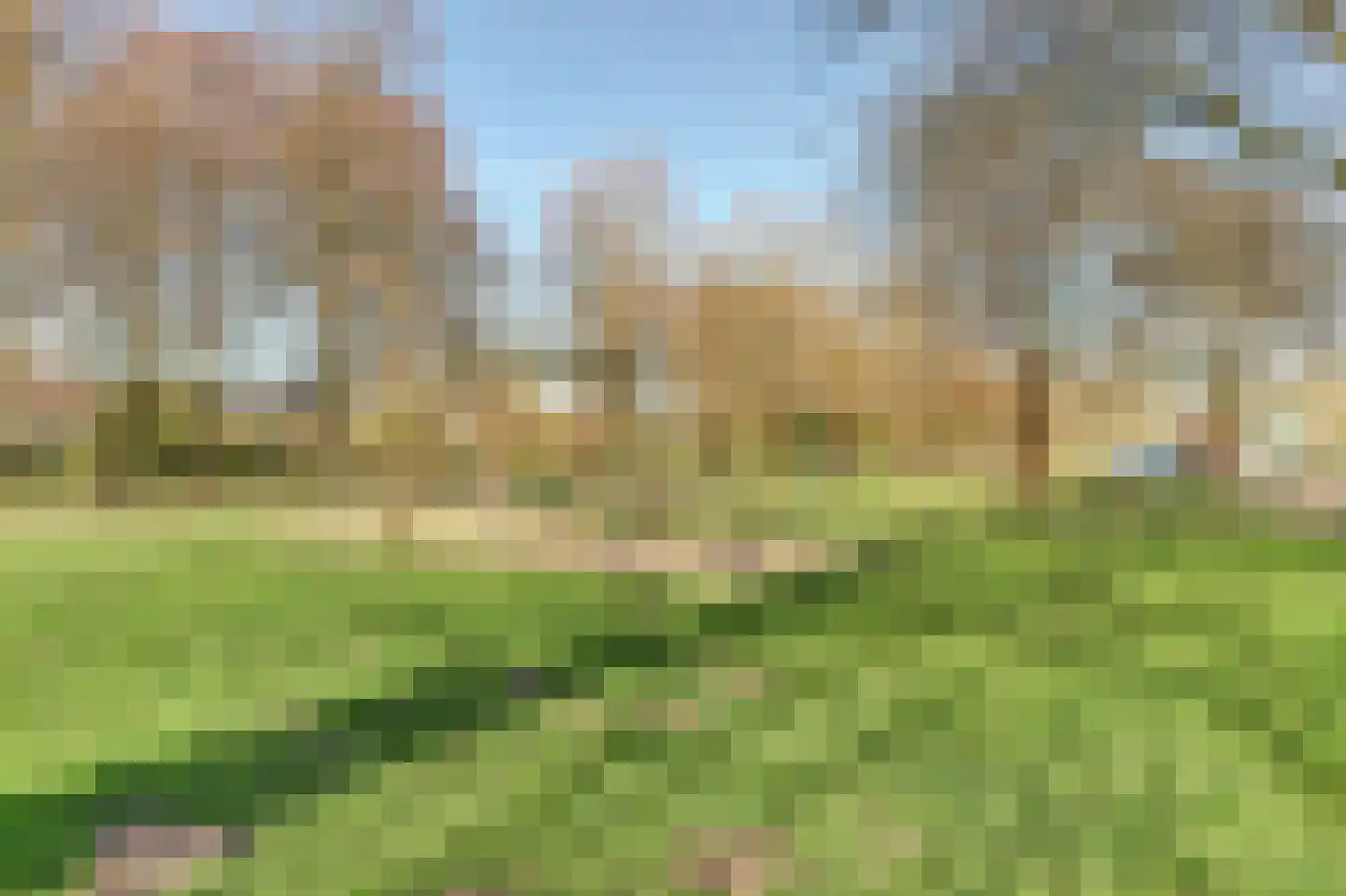 Distelvlinderberm 114 Houten thumbnail 54