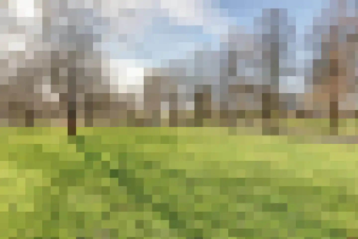 Distelvlinderberm 114 Houten thumbnail 55