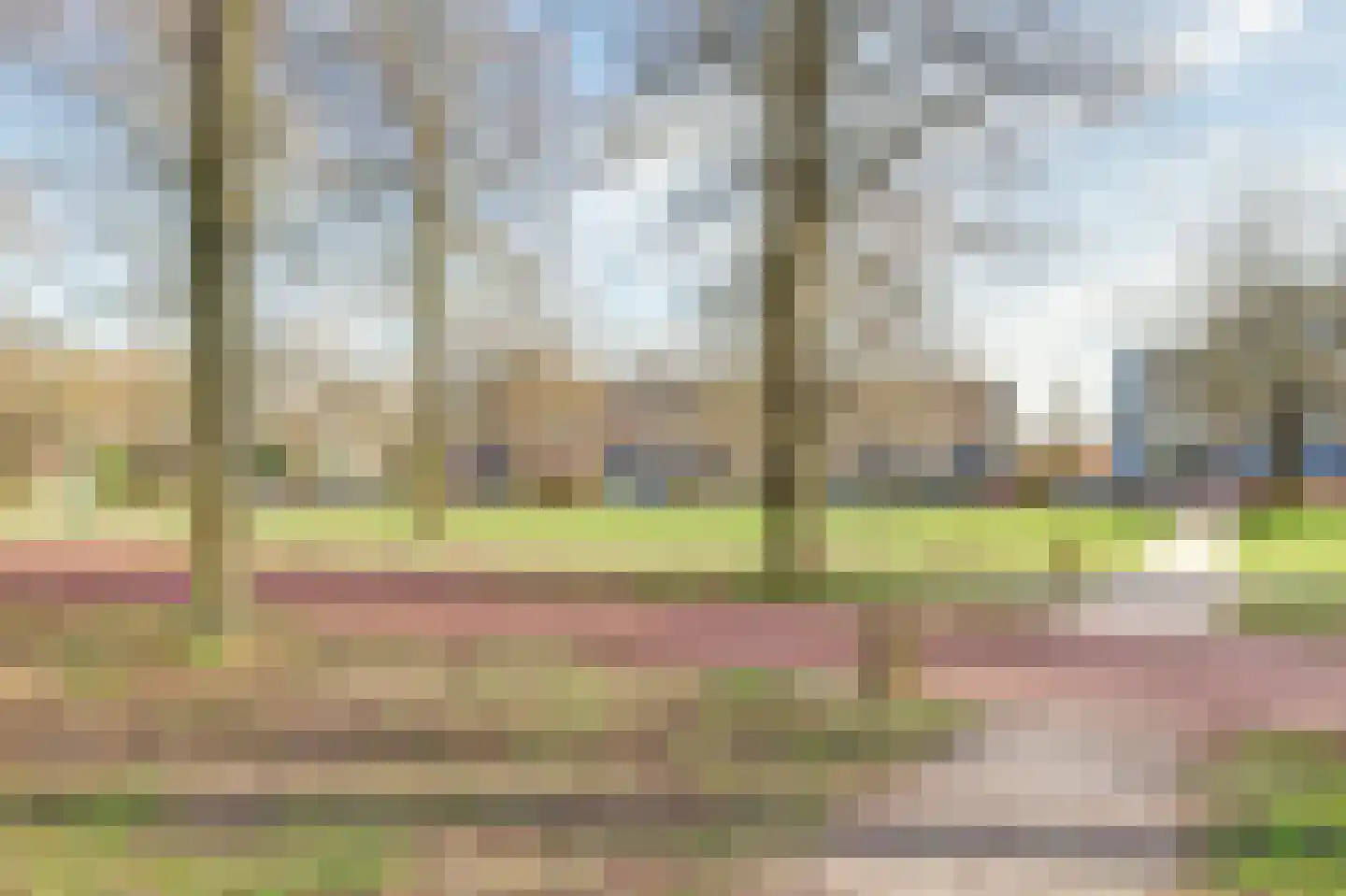 Distelvlinderberm 114 Houten thumbnail 56