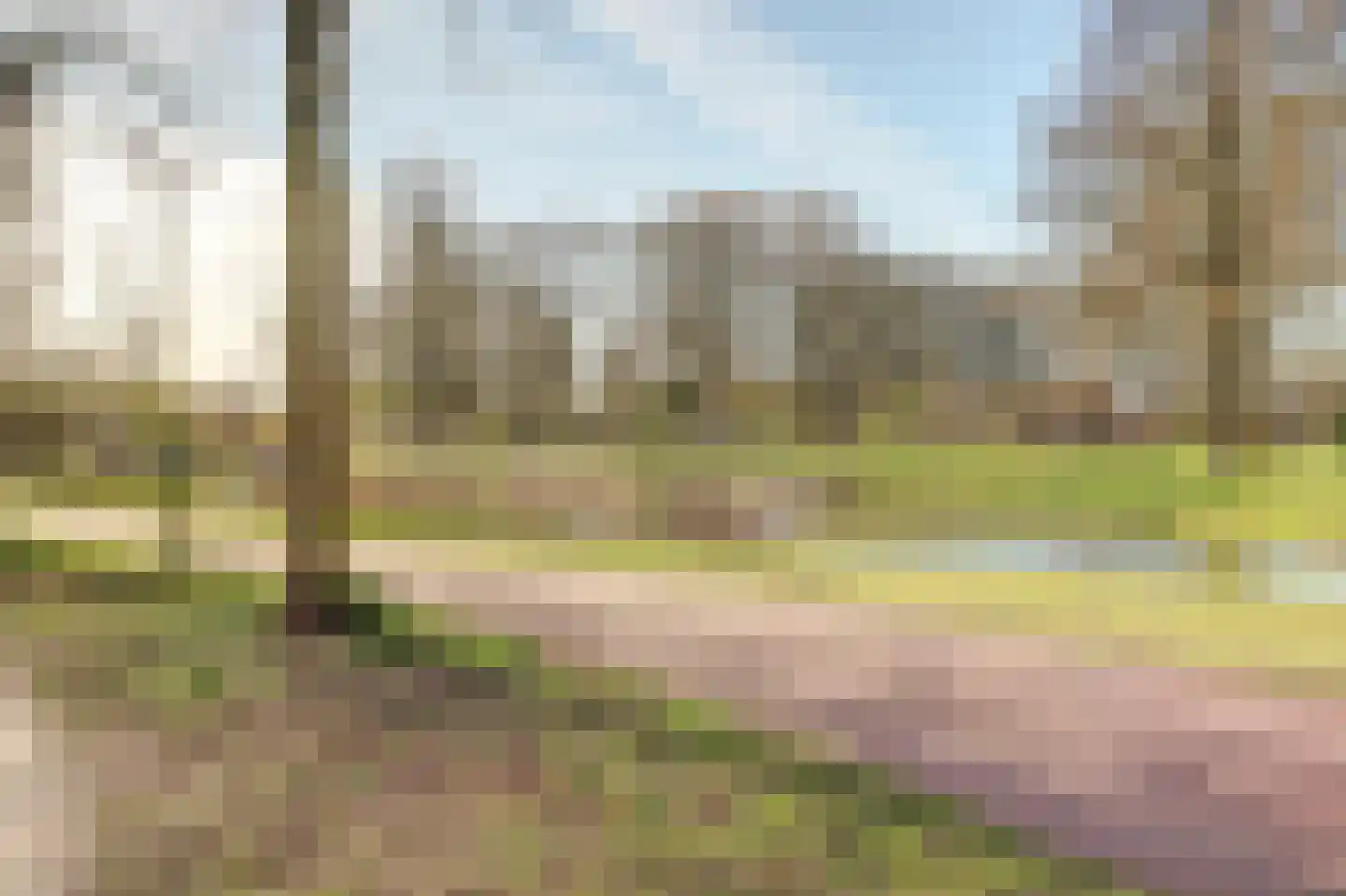 Distelvlinderberm 114 Houten thumbnail 57