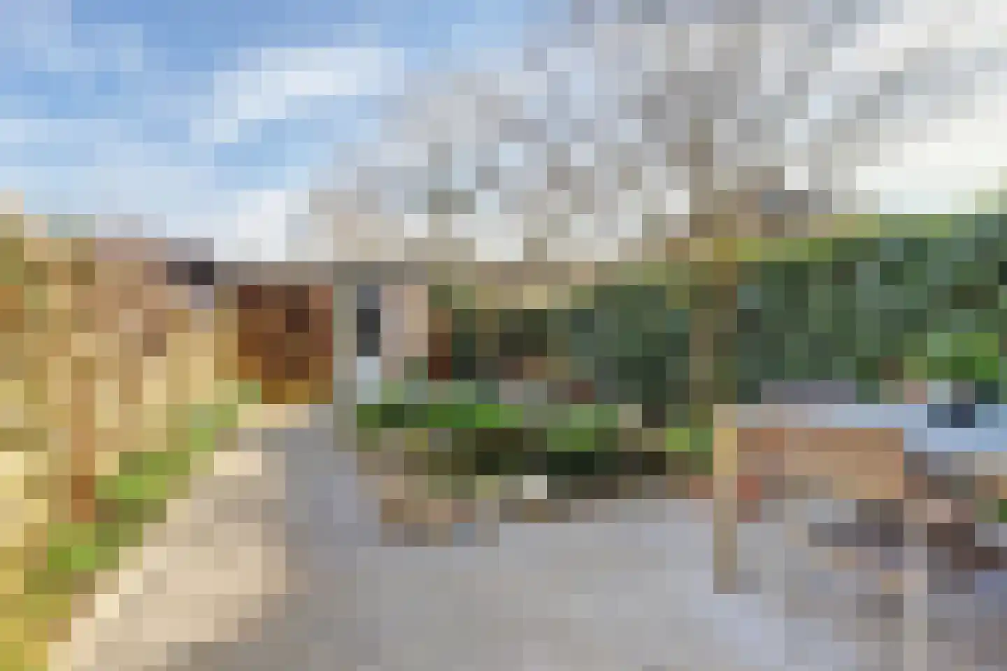Distelvlinderberm 114 Houten thumbnail 6