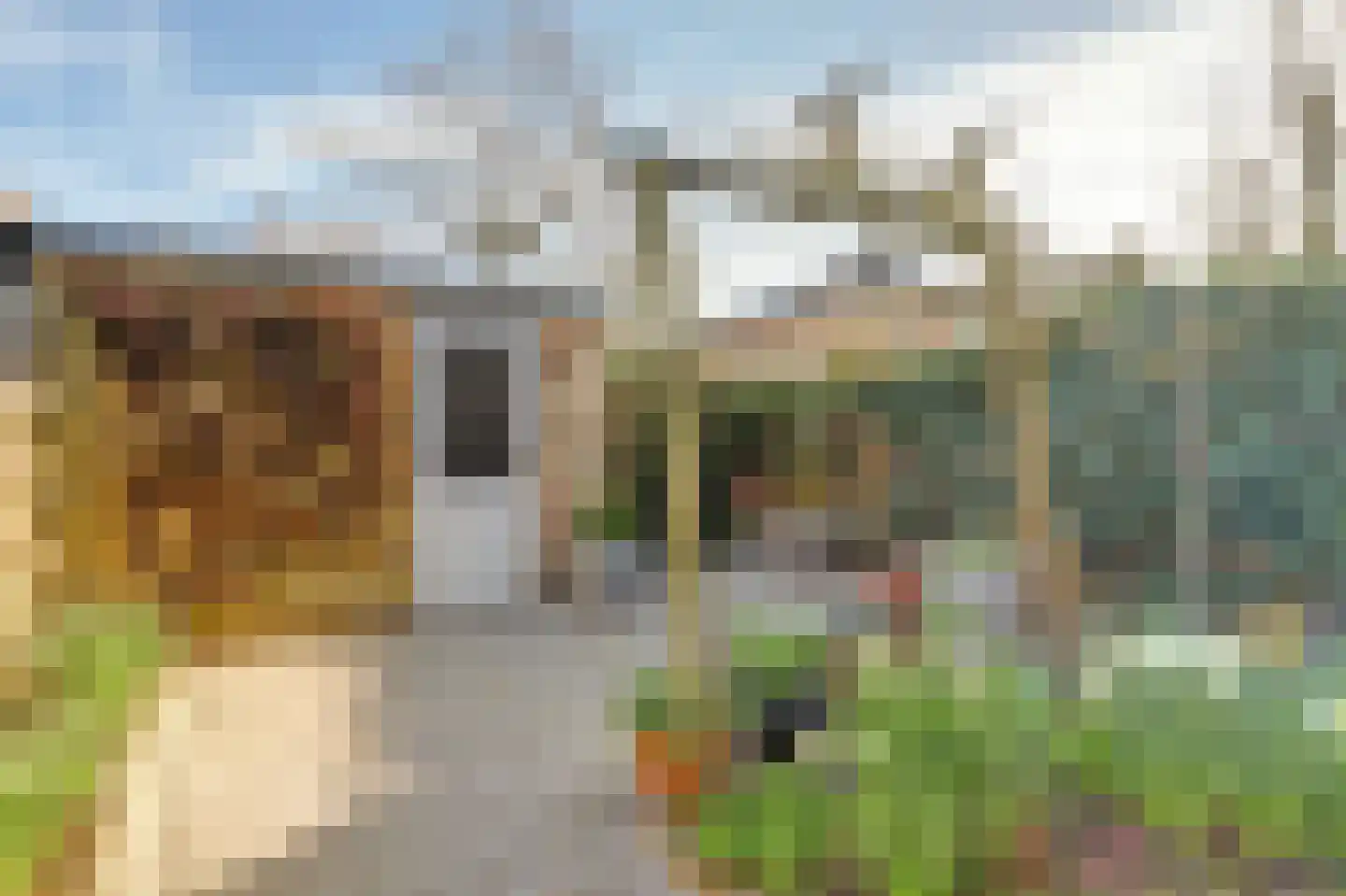 Distelvlinderberm 114 Houten thumbnail 8