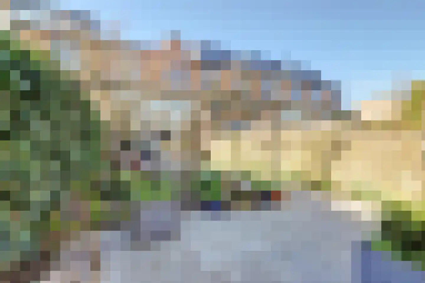 Distelvlinderberm 114 Houten thumbnail 9