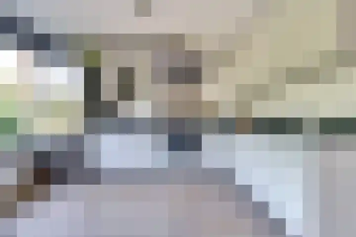 Distelvlinderberm 116 Houten thumbnail 10