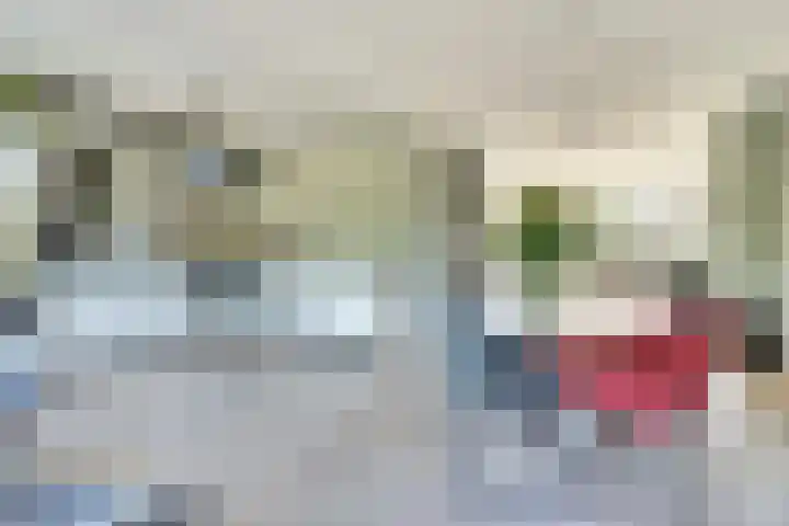 Distelvlinderberm 116 Houten thumbnail 11
