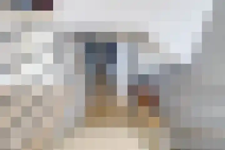 Distelvlinderberm 116 Houten thumbnail 15