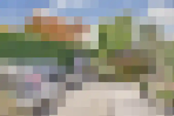 Distelvlinderberm 116 Houten thumbnail 18