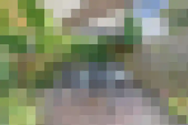 Distelvlinderberm 116 Houten thumbnail 19