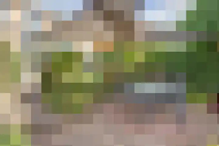 Distelvlinderberm 116 Houten thumbnail 20