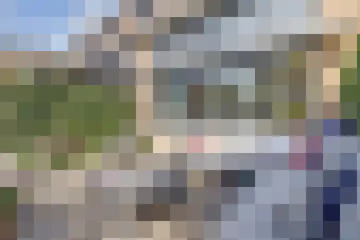 Distelvlinderberm 116 Houten thumbnail 21
