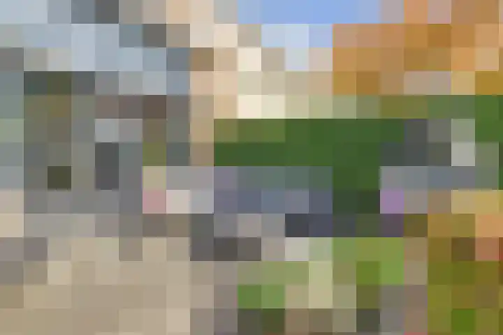 Distelvlinderberm 116 Houten thumbnail 22