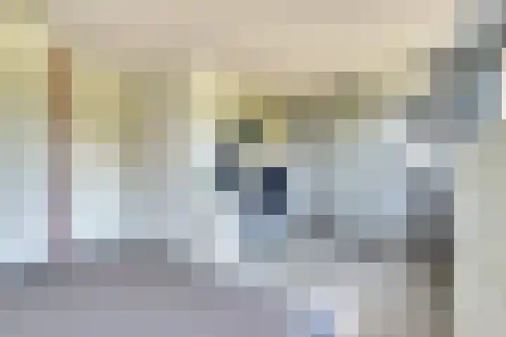 Distelvlinderberm 116 Houten thumbnail 28