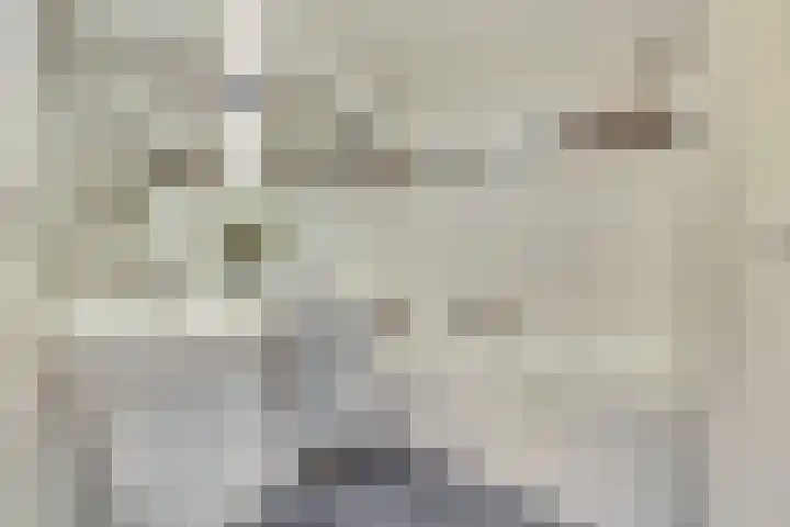 Distelvlinderberm 116 Houten thumbnail 30
