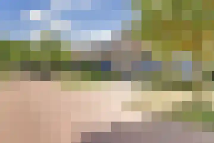 Distelvlinderberm 116 Houten thumbnail 39