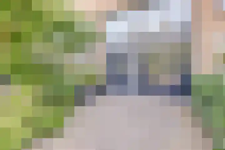 Distelvlinderberm 116 Houten thumbnail 41