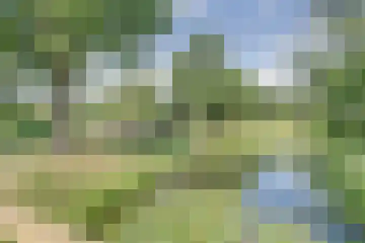 Distelvlinderberm 116 Houten thumbnail 42