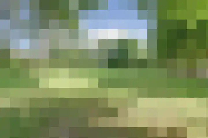 Distelvlinderberm 116 Houten thumbnail 43