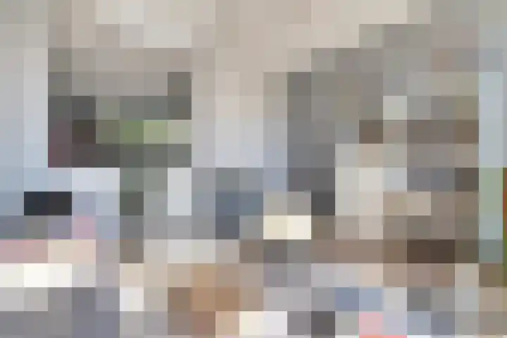 Distelvlinderberm 116 Houten thumbnail 6