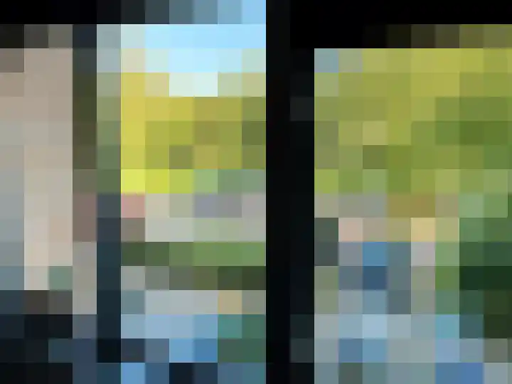 Distelvlinderberm 116 Houten thumbnail 8