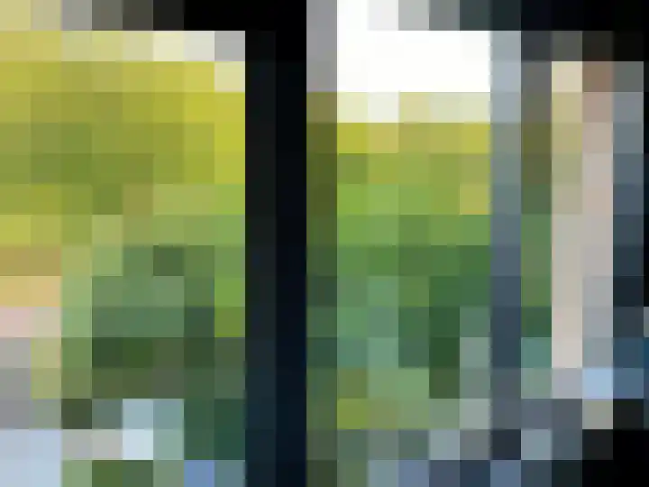 Distelvlinderberm 116 Houten thumbnail 9