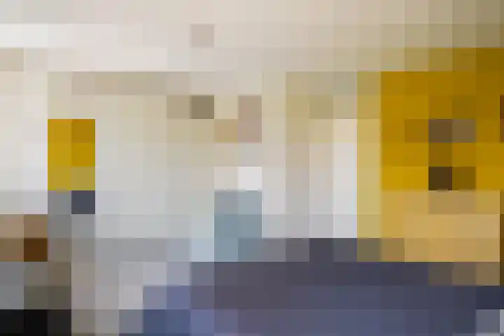 Distelvlinderberm 14 Houten thumbnail 29