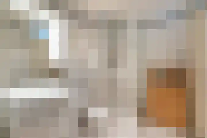 Distelvlinderberm 14 Houten thumbnail 33