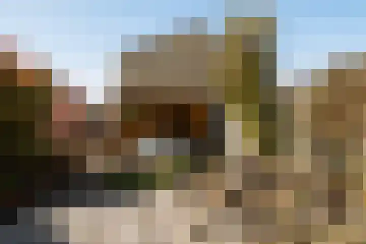 Distelvlinderberm 14 Houten thumbnail 37