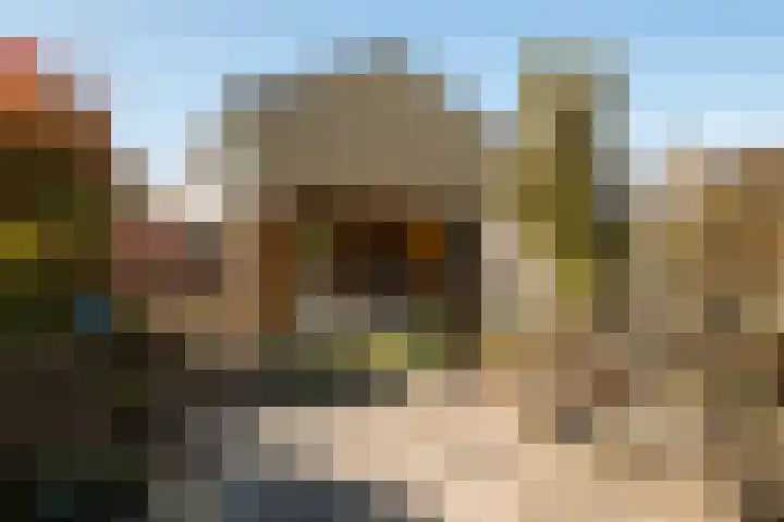 Distelvlinderberm 14 Houten thumbnail 38