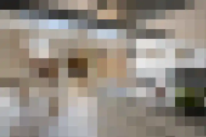 Distelvlinderberm 14 Houten thumbnail 4