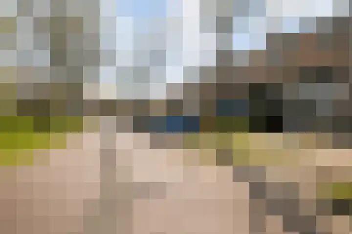 Distelvlinderberm 14 Houten thumbnail 40