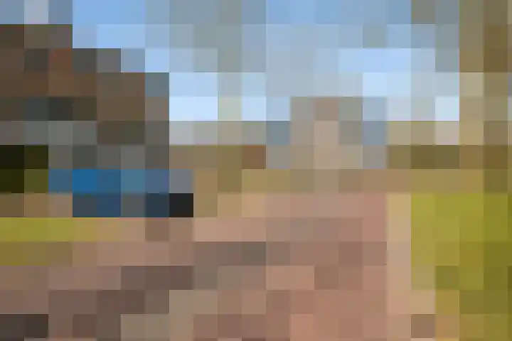 Distelvlinderberm 14 Houten thumbnail 41