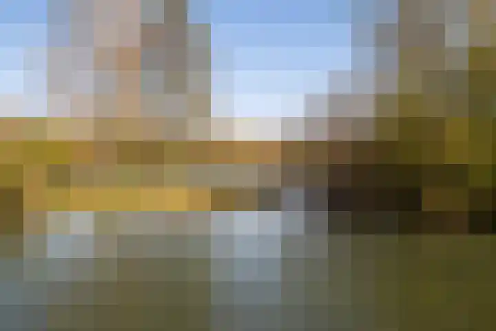 Distelvlinderberm 14 Houten thumbnail 42